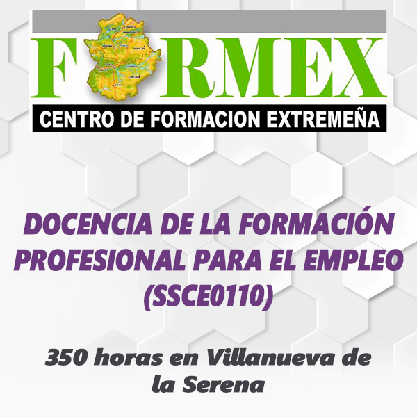 DOCENCIA DE LA FORMACIÓN PROFESIONAL PARA EL EMPLEO (SSCE0110)