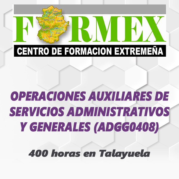 OPERACIONES AUXILIARES DE SERVICIOS ADMINISTRATIVOS Y GENERALES (ADGG0408)