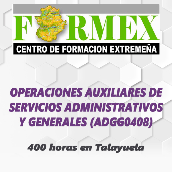 OPERACIONES AUXILIARES DE SERVICIOS ADMINISTRATIVOS Y GENERALES (ADGG0408)