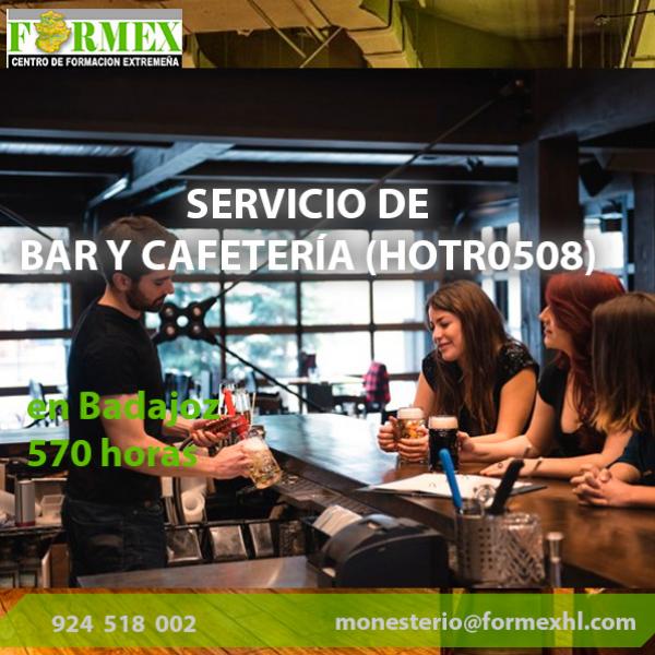 SERVICIO DE BAR Y CAFETERÍA (HOTR0508)